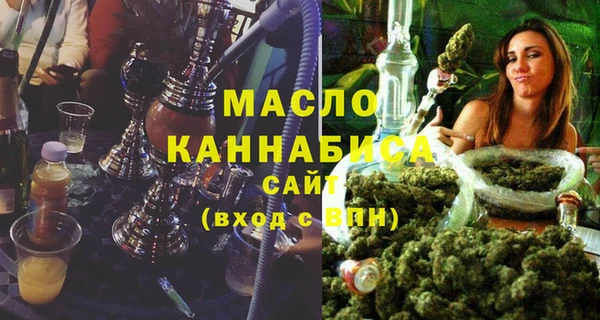 сатива Новодвинск