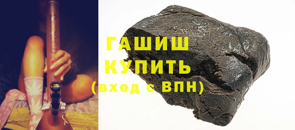 сатива Новодвинск