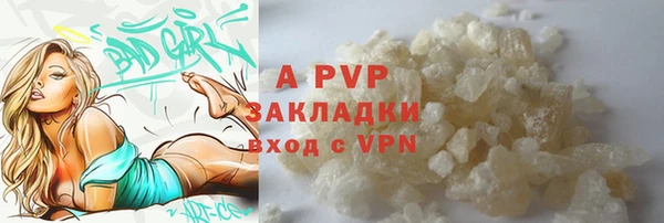 ПСИЛОЦИБИНОВЫЕ ГРИБЫ Новозыбков