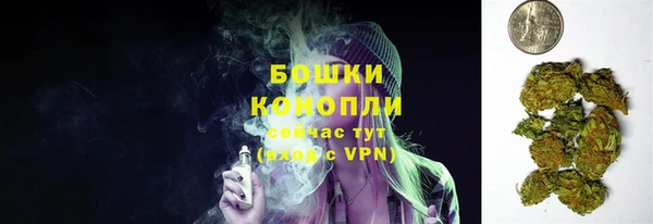 сатива Новодвинск