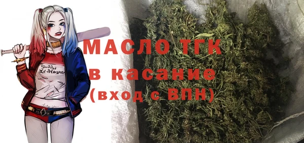 сатива Новодвинск