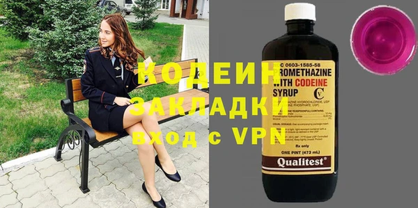 сатива Новодвинск