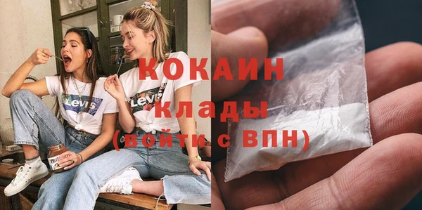 сатива Новодвинск