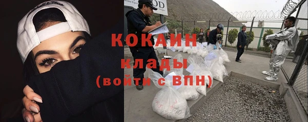 сатива Новодвинск