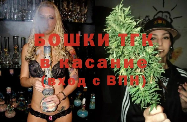 ПСИЛОЦИБИНОВЫЕ ГРИБЫ Новозыбков