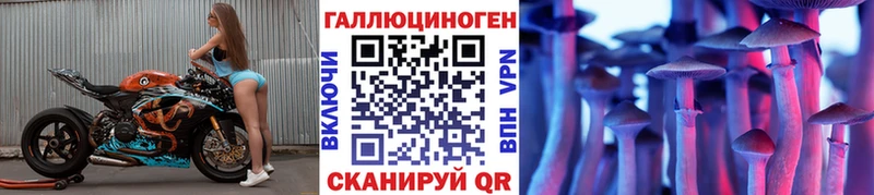 Псилоцибиновые грибы мицелий  наркошоп  Шахунья 